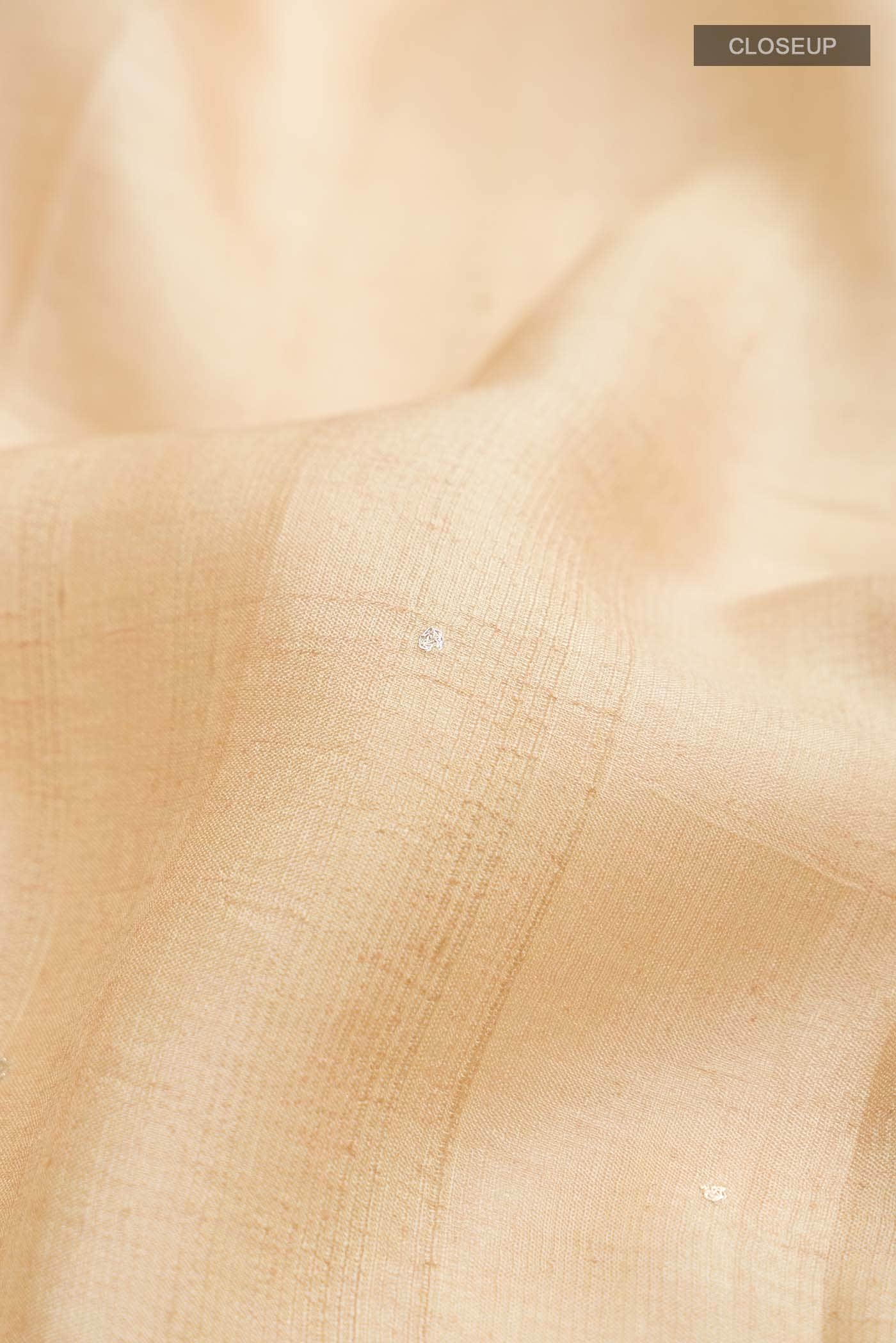 Beige Tussar Silk Saree - Image 3