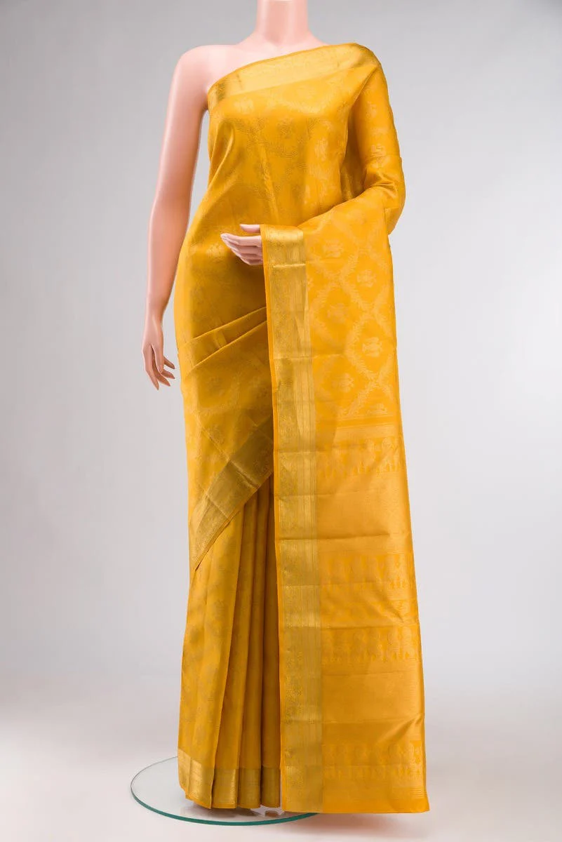 New Arrivals in Borderless Kanchipuram Sarees